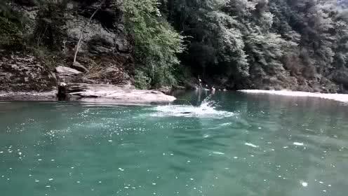 专业问答平台